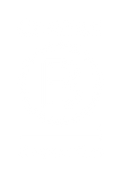 Green Energy icon